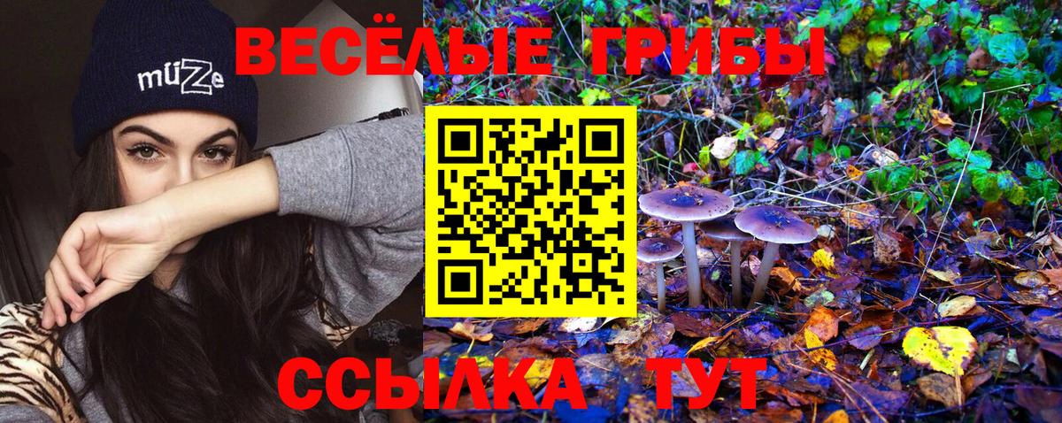 Галлюциногенные грибы MAGIC MUSHROOMS  где можно купить   Вход с VPN  Гусиноозёрск  Галлюциногенные грибы мицелий 