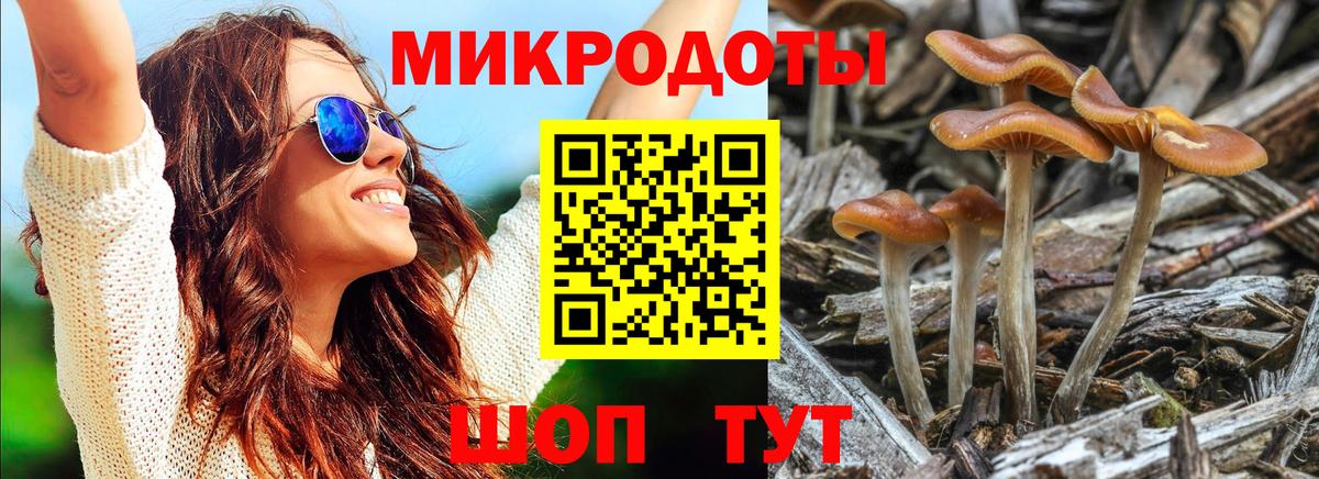 Галлюциногенные грибы GOLDEN TEACHER Гусиноозёрск